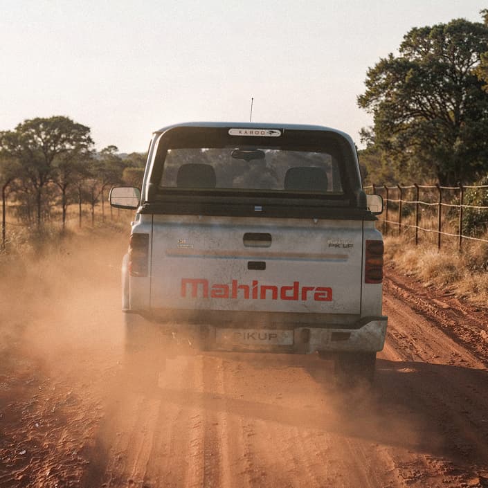 Spirited Performance