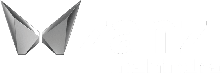 Mzanzi App Logo