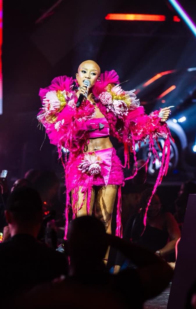 Performer on stage at Mahindra Fusion Fest